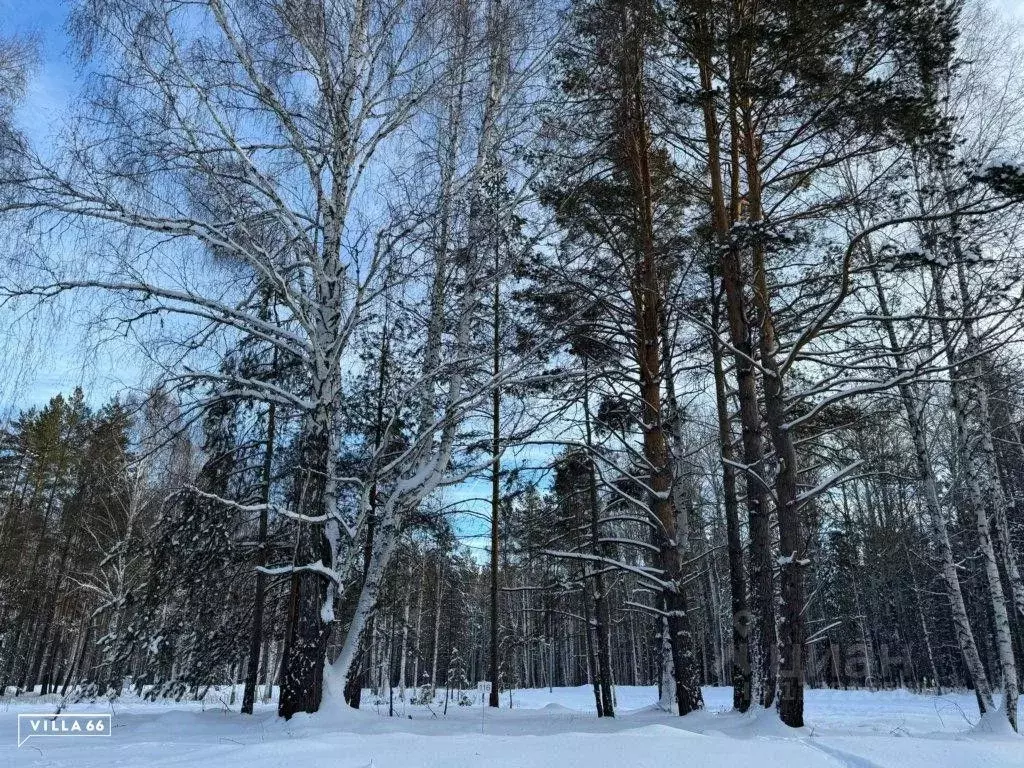 Участок в Свердловская область, Сысертский городской округ, пос. ... - Фото 0