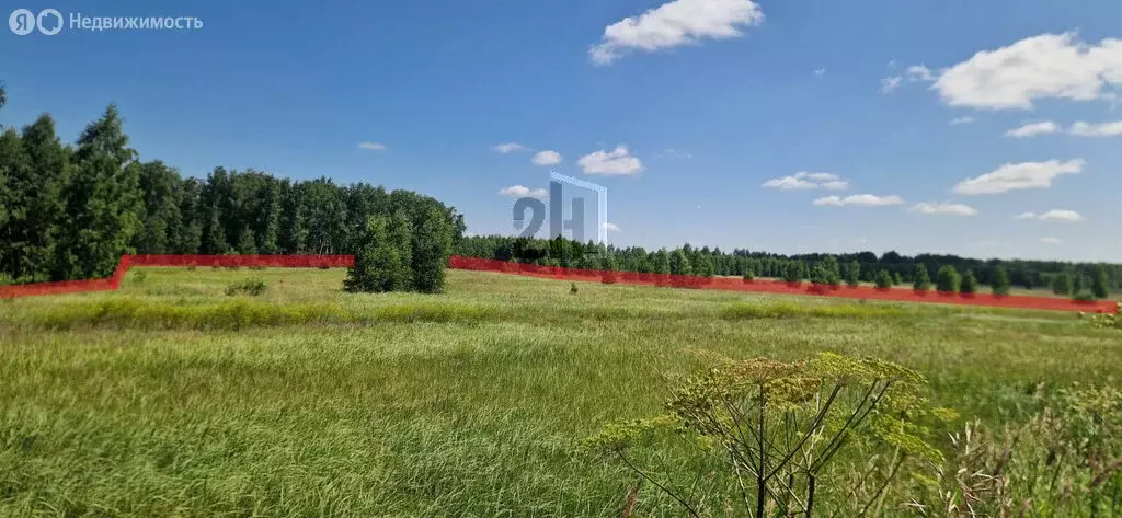 Участок в Челябинская область, Кунашакский муниципальный округ, ... - Фото 2