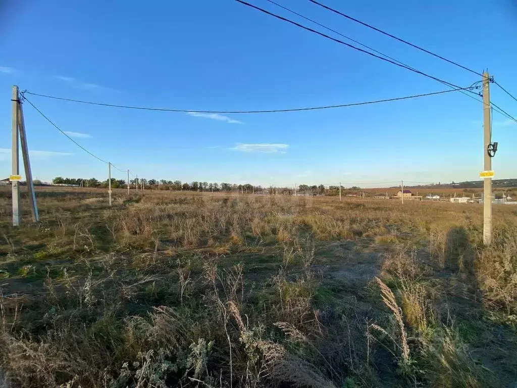 Участок в Воронежская область, Семилукский район, Губаревское с/пос, ... - Фото 1