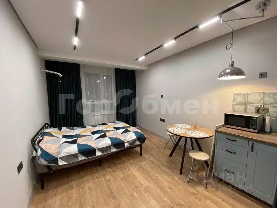 Студия Москва просп. Прокшинский, 12 (24.0 м) - Фото 2