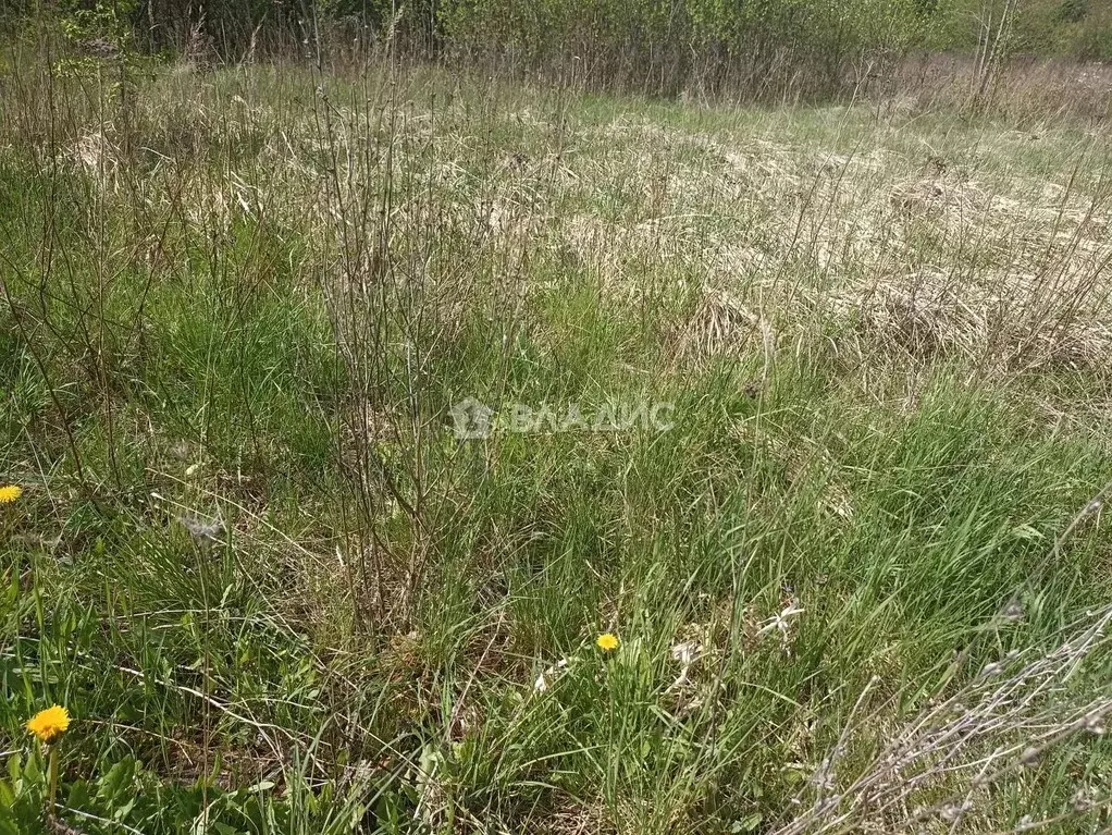 Участок в Калининградская область, Гусевский городской округ, пос. ... - Фото 0