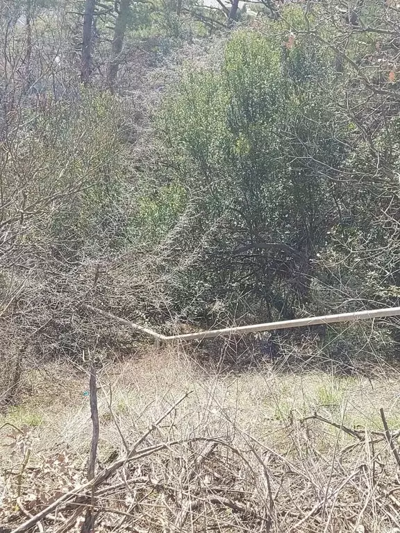 Участок в Крым, Ялта муниципальный округ, Восход пгт ул. Наташинская, ... - Фото 1