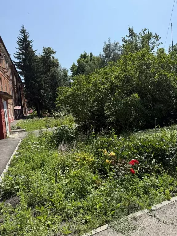 2-к кв. Тамбовская область, Тамбов Тамбов-6 тер., 2/32 (50.0 м) - Фото 1