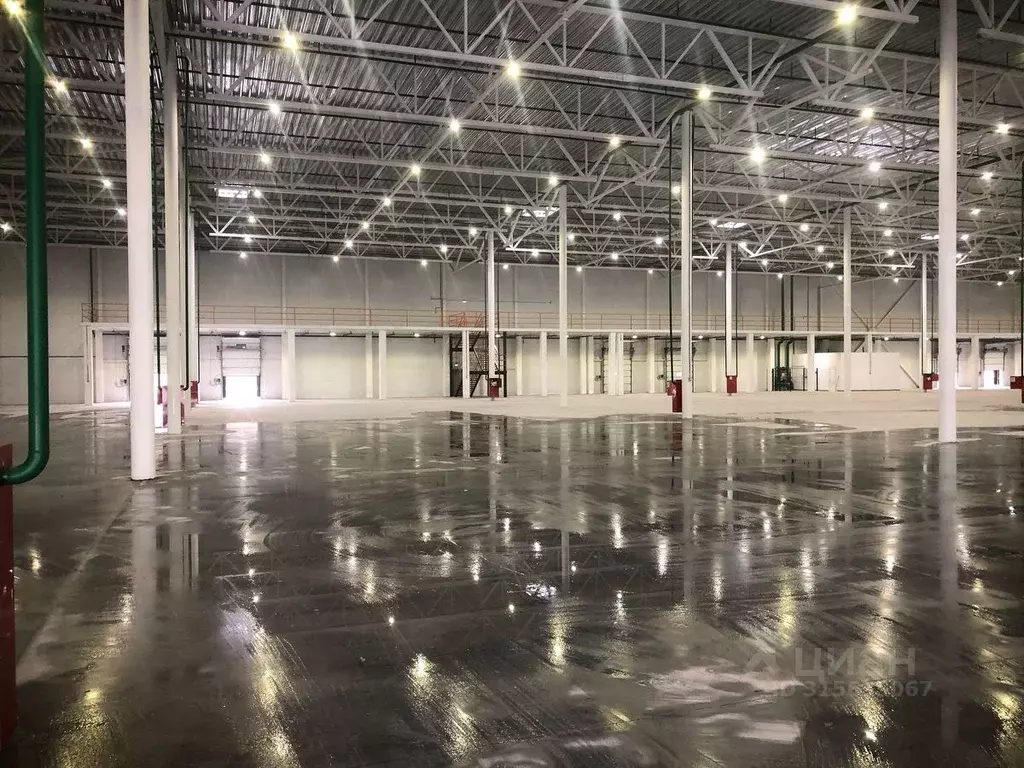 Склад в Московская область, Ногинск Богородский городской округ, ул. ... - Фото 1