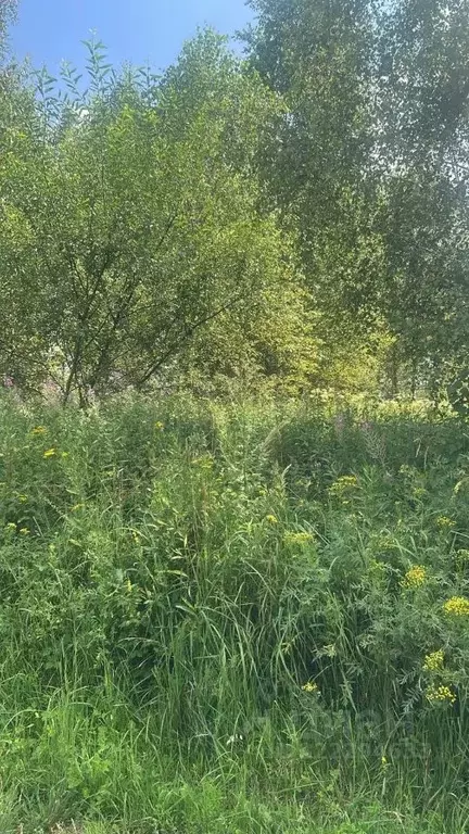 Участок в Московская область, Ступино городской округ, д. Канищево ул. ... - Фото 2