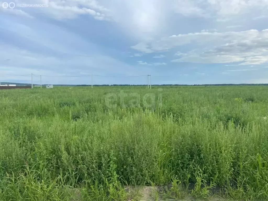 Участок в Ульяновск, Заволжский район (15.1 м) - Фото 1