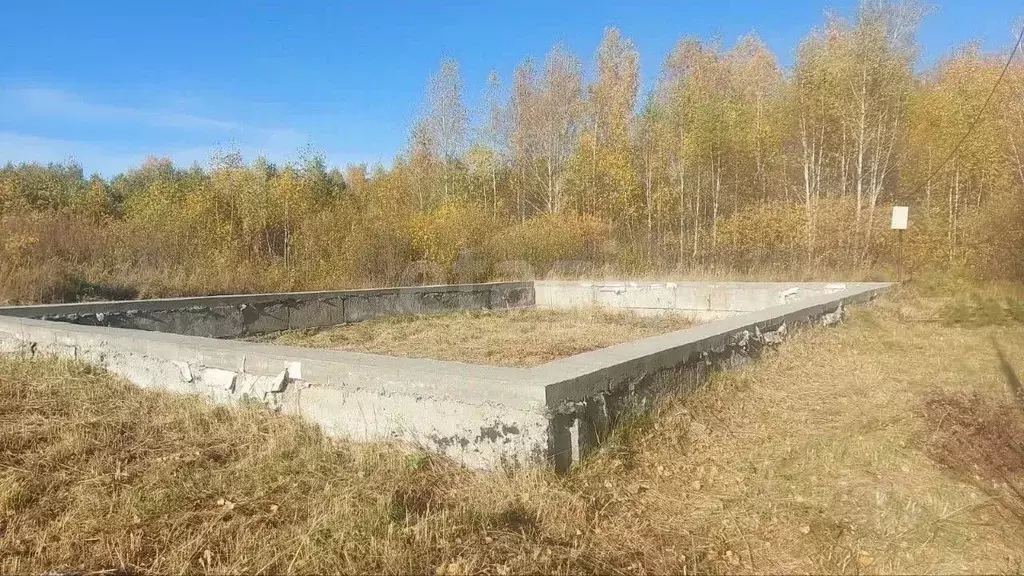 Помещение свободного назначения в Курганская область, Курган ул. ... - Фото 1