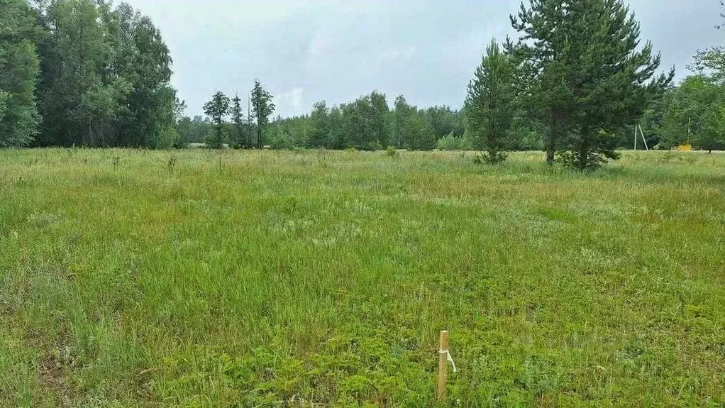 Участок в Оренбургская область, Бузулукский район, Колтубановский ... - Фото 0
