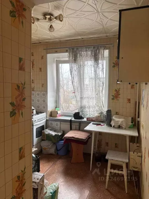 3-к кв. Курганская область, Шадринск Пролетарская ул., 89 (59.8 м) - Фото 2