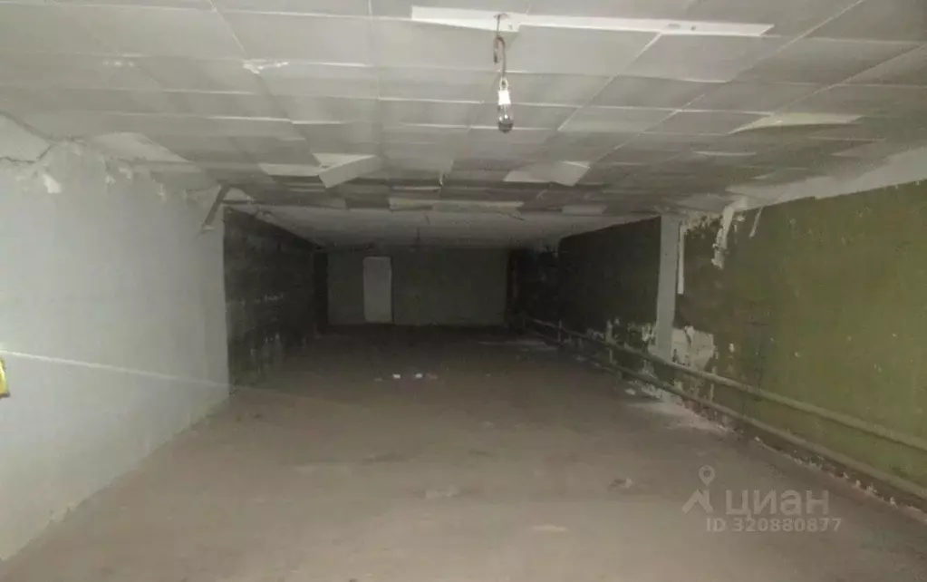 Помещение свободного назначения в Воронежская область, Воронеж ул. 9 ... - Фото 1