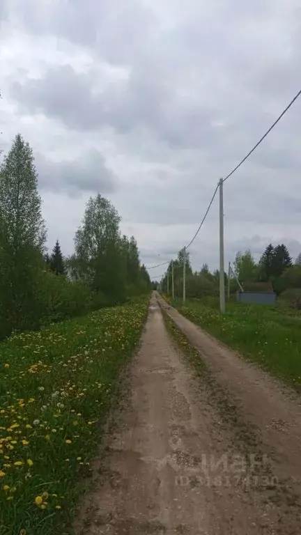 Участок в Ленинградская область, Гатчинский район, Кобрино ... - Фото 1