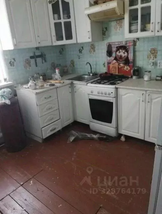 Дом в Омская область, Таврический район, д. Копейкино  (56 м) - Фото 1