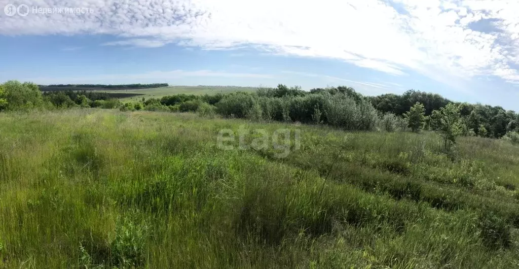 Участок в село Шагаровка, СТ Ёлочка (6 м) - Фото 1