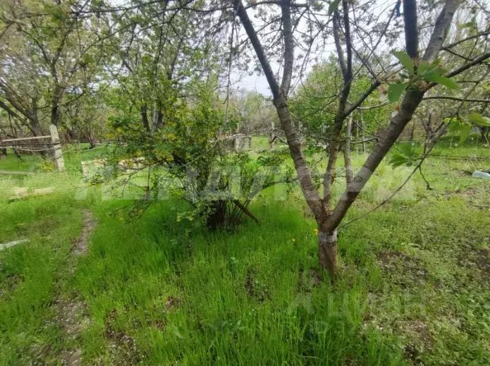 Участок в Ростовская область, Октябрьский район, пос. Персиановский, ... - Фото 2