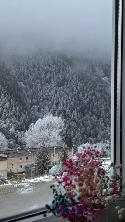 1-к кв. Кабардино-Балкария, Эльбрусский район, с. Нейтрино ул. ... - Фото 2