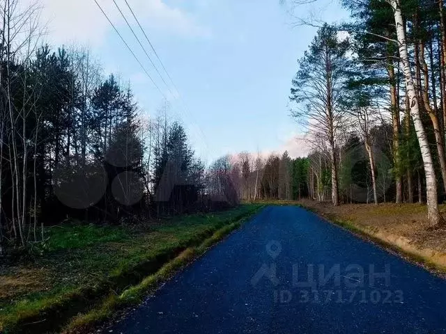 Участок в Московская область, Клин городской округ М-11, 83-й км (9.47 ... - Фото 1