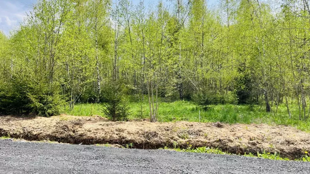 Участок в Московская область, Пушкинский городской округ, д. Алешино, ... - Фото 2