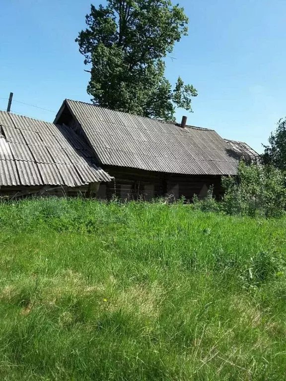 Купить Участок Юрково Сокольский Район Нижегородская Область