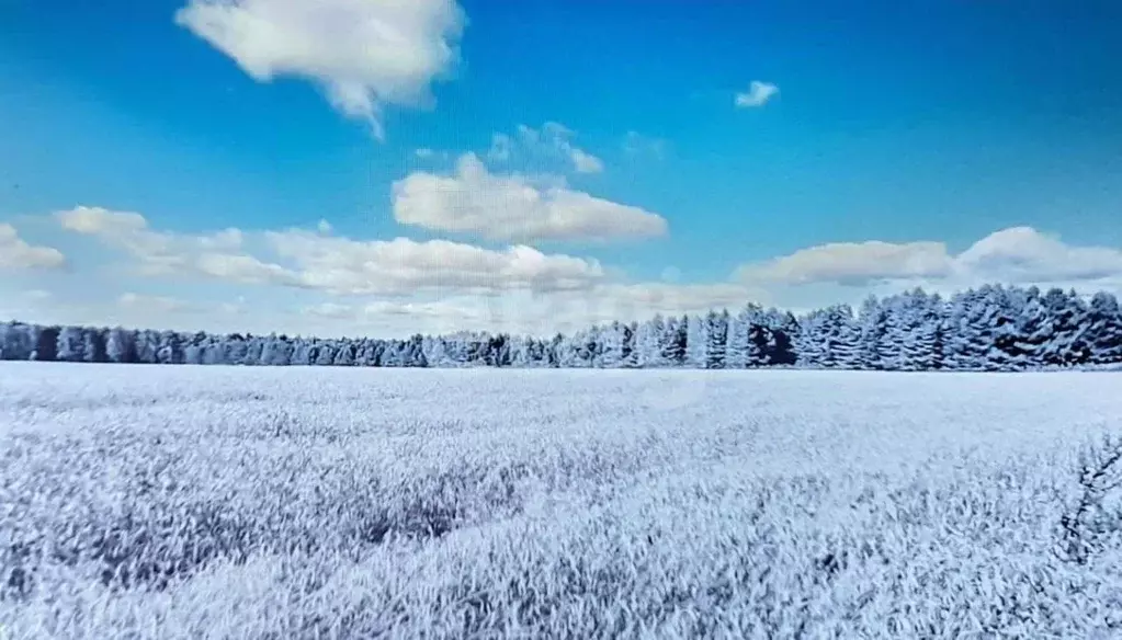 Участок в Владимирская область, Ковровский район, Ивановское с/пос, д. ... - Фото 1