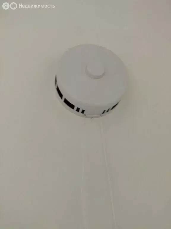 Квартира-студия: Санкт-Петербург, проспект Ветеранов, 214 (24 м) - Фото 2