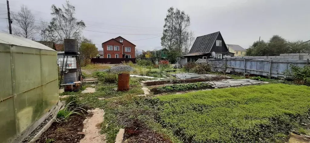 Участок в Сахалинская область, Южно-Сахалинск Айболит-86 СНТ, ул. ... - Фото 1