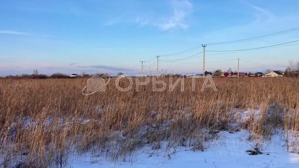 Участок в Тюменская область, Тюмень Царево садовое товарищество, ул. ... - Фото 1