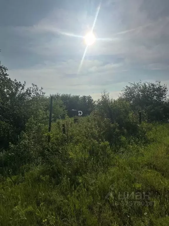 Участок в Саратовская область, Саратов Кумысная поляна СНТ, ул. Малая ... - Фото 2