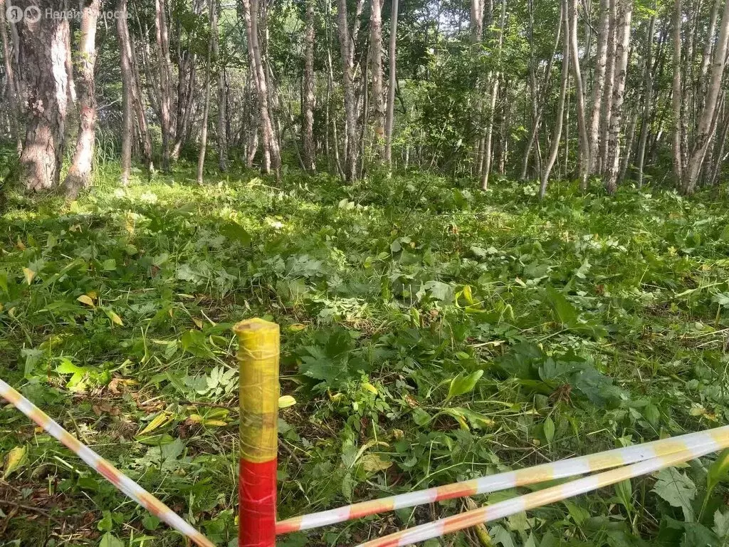 Участок в Камчатский край, Елизовский муниципальный округ, посёлок ... - Фото 0