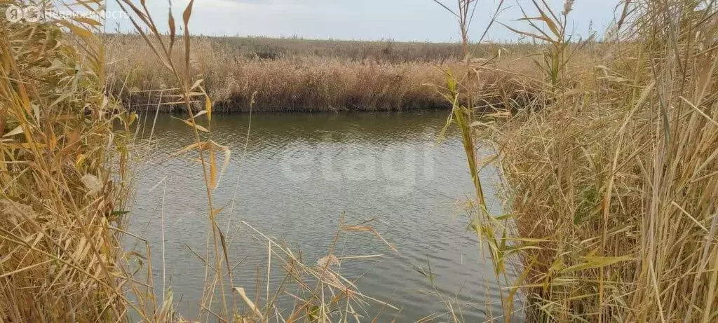 Участок в Неклиновский район, село Николаевка (11.8 м) - Фото 1