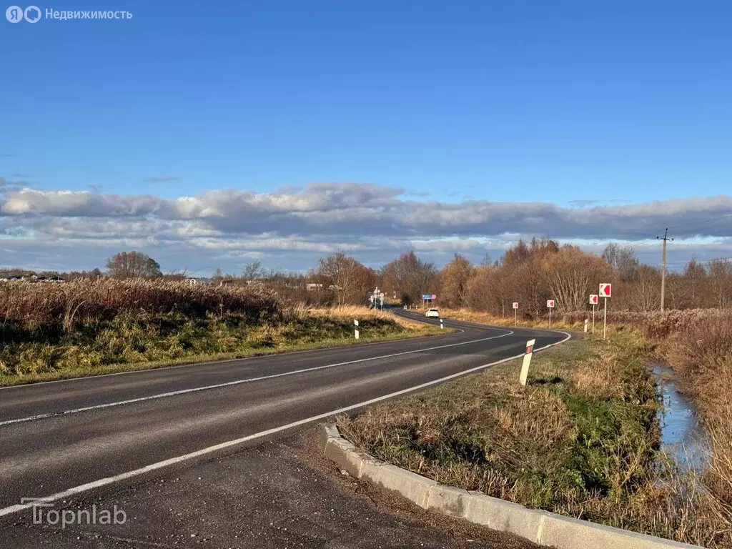 Участок в Калининградская область, Гурьевский муниципальный округ, ... - Фото 1