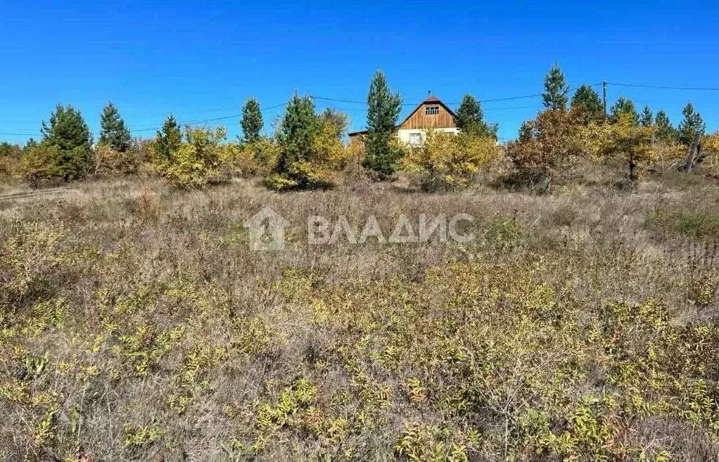 Участок в Бурятия, Тарбагатайский район, Саянтуйское муниципальное ... - Фото 0