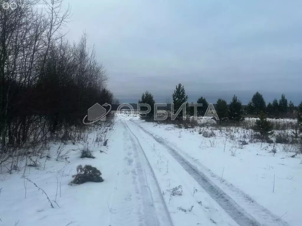 Участок в Тюменский район, село Горьковка (6 м) - Фото 0