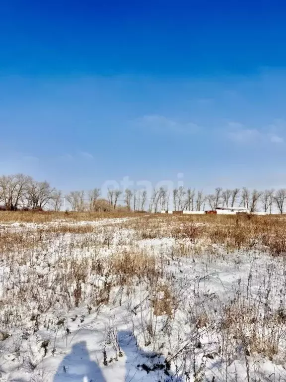 Участок в Белгородская область, Белгородский район, Дубовское с/пос, ... - Фото 0