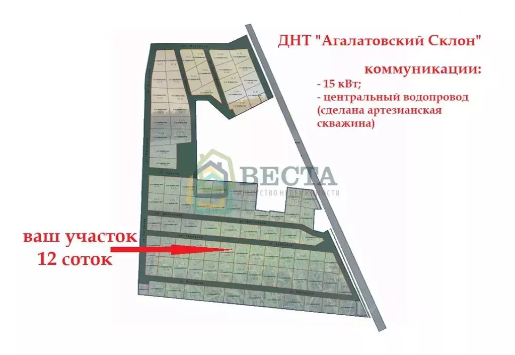 Участок в Ленинградская область, Всеволожский район, Лесколовское ... - Фото 2