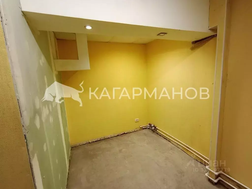 Помещение свободного назначения в Новосибирская область, Новосибирск ... - Фото 1