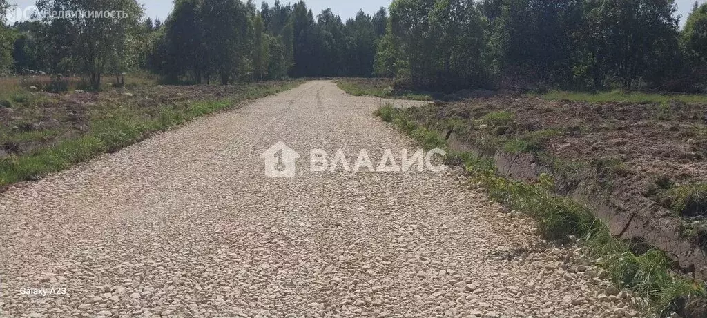Участок в Волосовский район, деревня Большая Вруда (50 м) - Фото 2