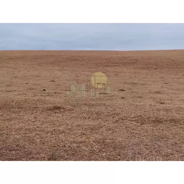 Участок в Иркутская область, Баяндаевский район, с. Тургеневка  ... - Фото 0