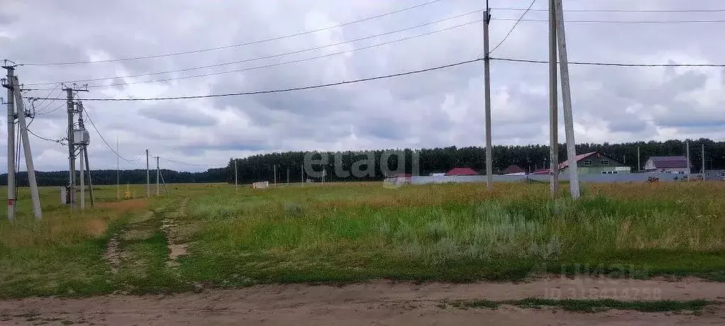 Участок в Омская область, Омский район, с. Усть-Заостровка Березовая ... - Фото 0