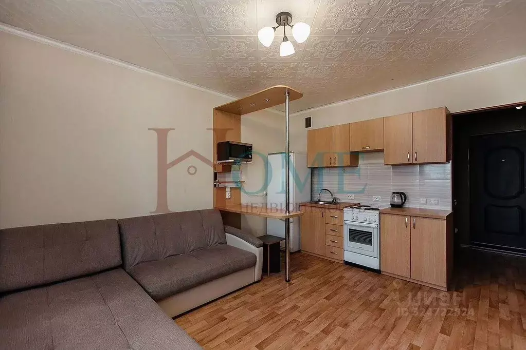 Студия Новосибирская область, Новосибирск ул. Одоевского, 1/10 (24.0 ... - Фото 1