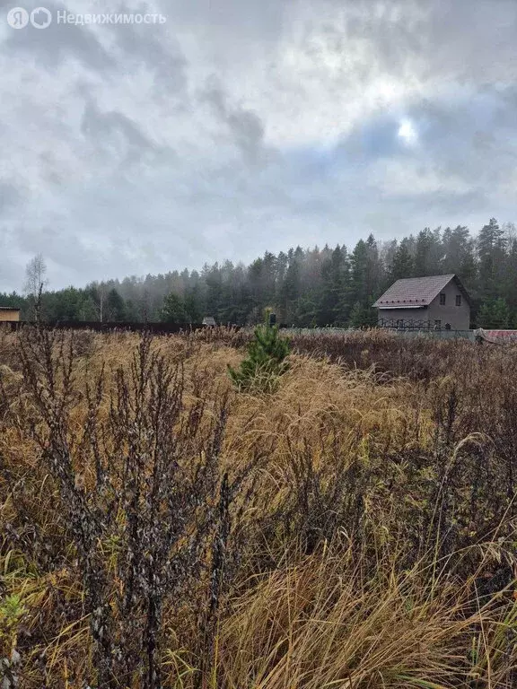 Участок в село Мамонтово (10 м) - Фото 1