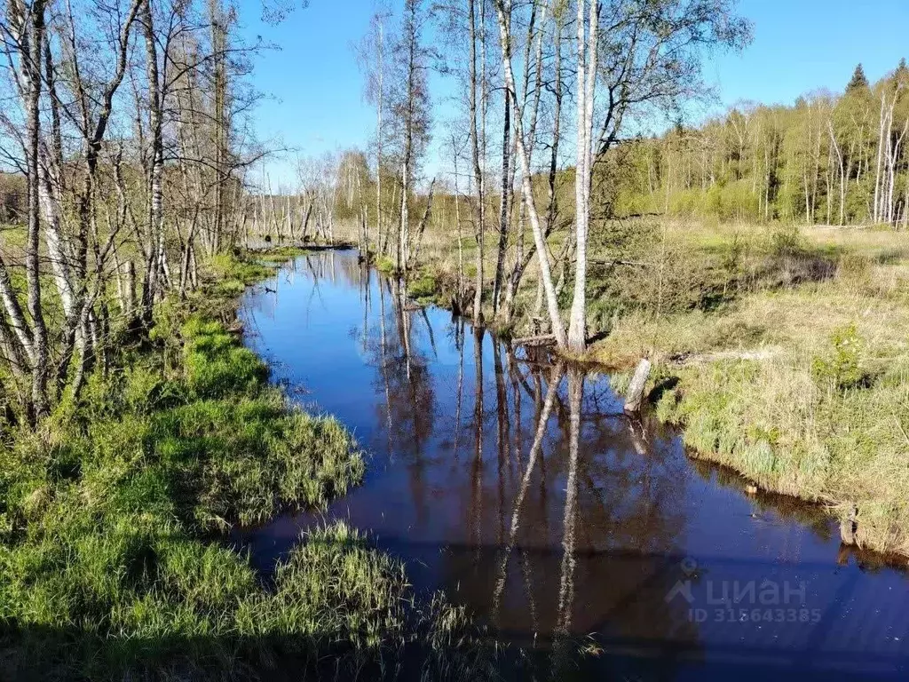 Участок в Владимирская область, Киржачский район, Филипповское ... - Фото 0