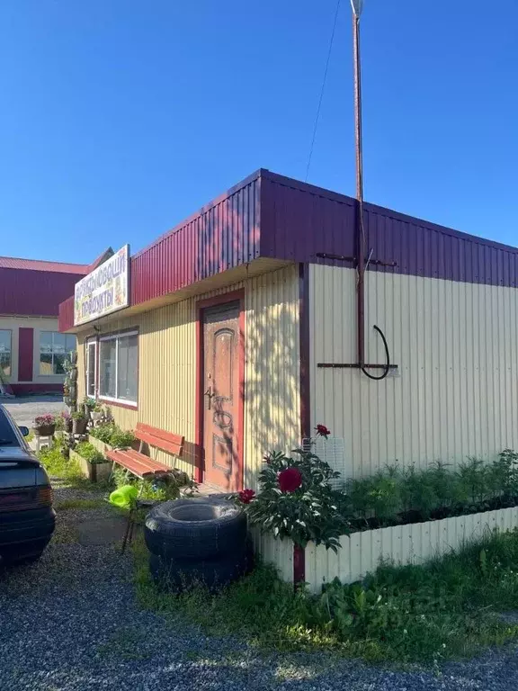 Торговая площадь в Камчатский край, Елизово Магистральная ул., 1А (57 ... - Фото 2