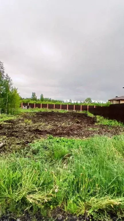 Участок в Ленинградская область, Всеволожский район, Лесколовское ... - Фото 2