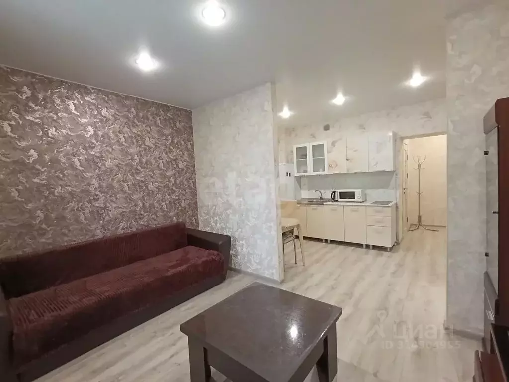 Студия Архангельская область, Архангельск ул. Урицкого, 3 (29.5 м) - Фото 0