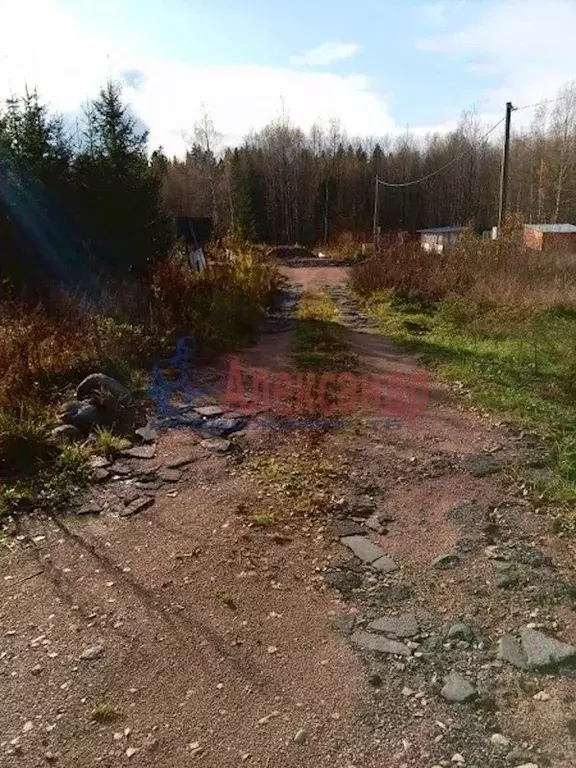 Участок в Ленинградская область, Выборгский район, пос. Селезнево  ... - Фото 1