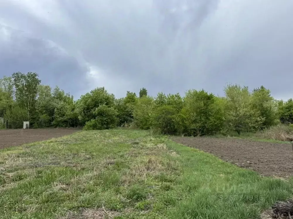 Участок в Амурская область, Белогорск Раздольная ул. (6.0 сот.) - Фото 1