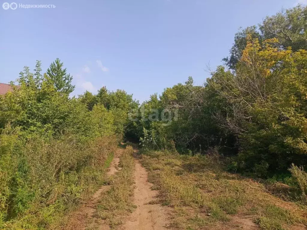 Участок в Кинельский район, сельское поселение Домашка, село Домашка ... - Фото 1