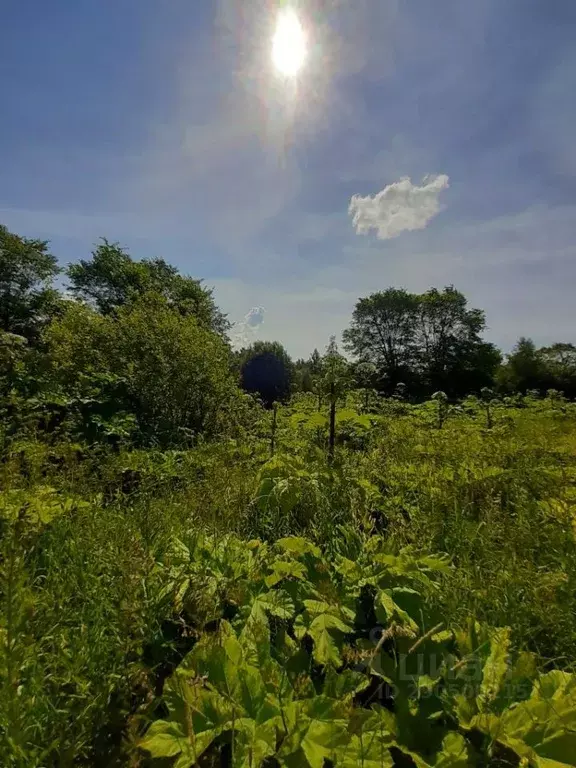 Участок в Нижегородская область, Варнавинский муниципальный округ, д. ... - Фото 2