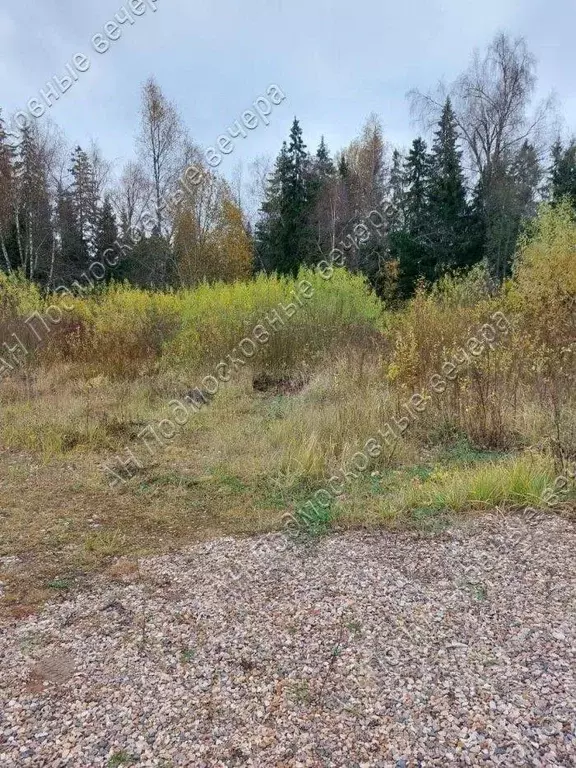 Участок в Московская область, Дмитровский муниципальный округ, ... - Фото 2