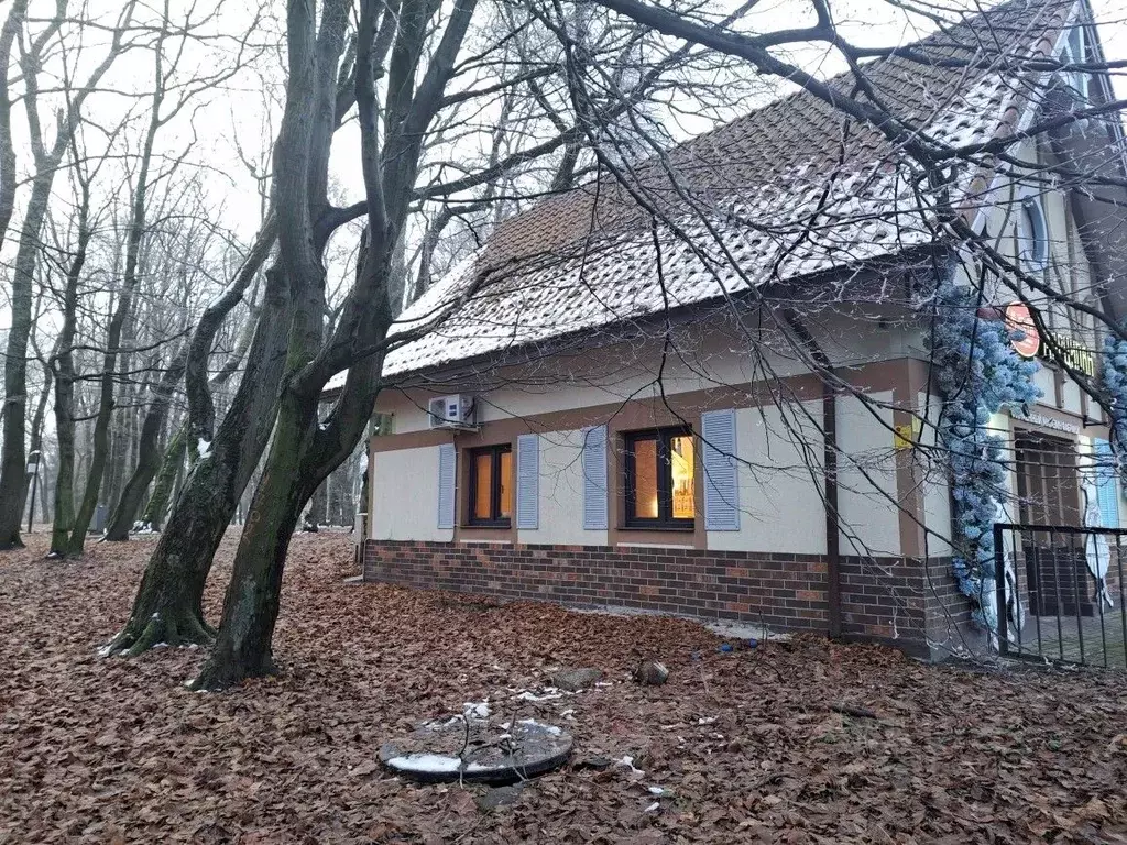 Помещение свободного назначения в Калининградская область, Калининград ... - Фото 1